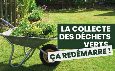 Déchets verts